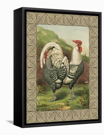 Roosters III-Cassel-Framed Stretched Canvas