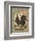 Roosters V-Cassel-Framed Art Print