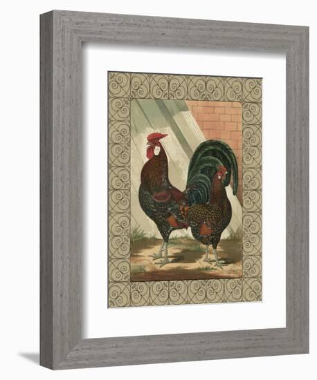 Roosters V-Cassel-Framed Art Print