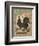 Roosters V-Cassel-Framed Art Print