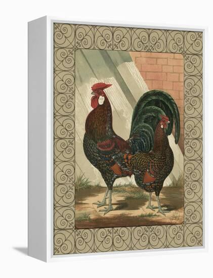 Roosters V-Cassel-Framed Stretched Canvas