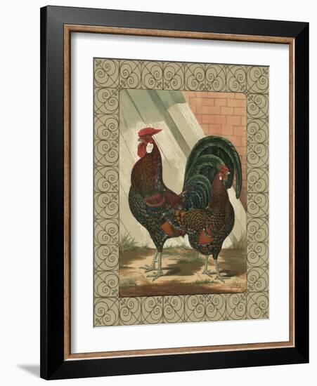 Roosters V-Cassel-Framed Art Print