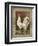 Roosters VI-Cassel-Framed Art Print