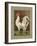 Roosters VI-Cassel-Framed Art Print