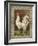 Roosters VI-Cassel-Framed Art Print