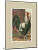 Roosters with Mat IV-Cassel-Mounted Art Print