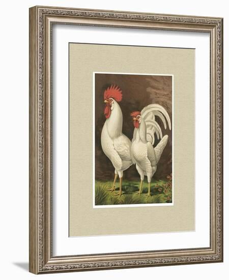 Roosters with Mat VI-Cassel-Framed Art Print