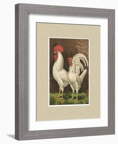 Roosters with Mat VI-Cassel-Framed Art Print