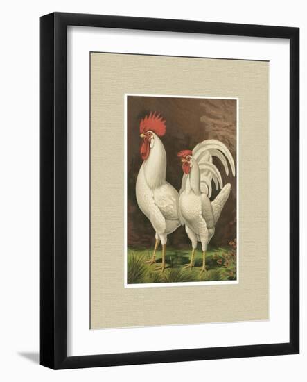 Roosters with Mat VI-Cassel-Framed Art Print