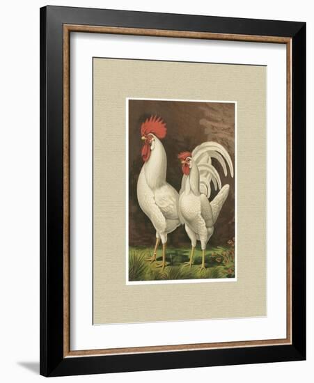 Roosters with Mat VI-Cassel-Framed Art Print