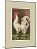 Roosters with Mat VI-Cassel-Mounted Art Print