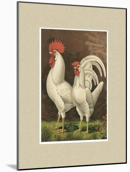 Roosters with Mat VI-Cassel-Mounted Art Print