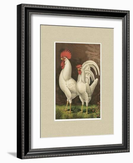 Roosters with Mat VI-Cassel-Framed Art Print