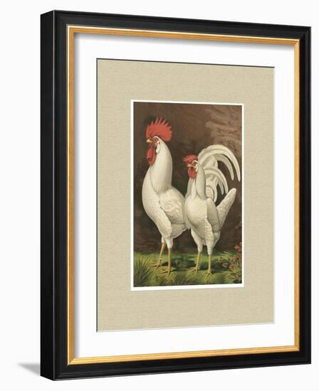 Roosters with Mat VI-Cassel-Framed Art Print