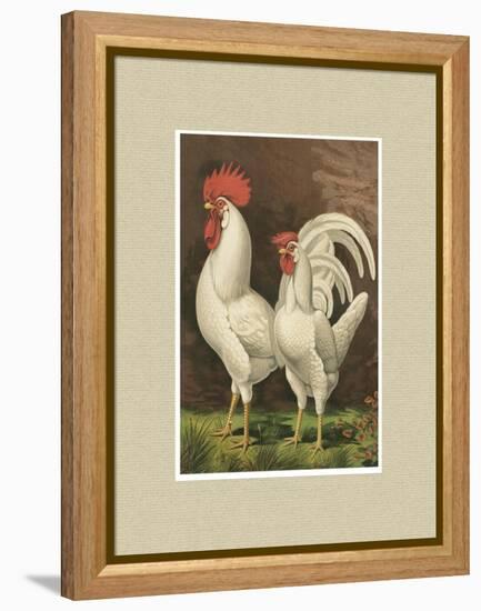 Roosters with Mat VI-Cassel-Framed Stretched Canvas