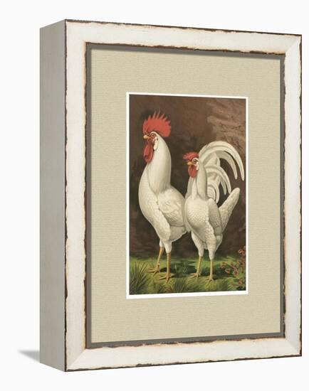 Roosters with Mat VI-Cassel-Framed Stretched Canvas