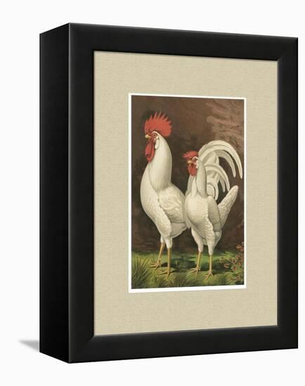 Roosters with Mat VI-Cassel-Framed Stretched Canvas