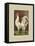 Roosters with Mat VI-Cassel-Framed Stretched Canvas