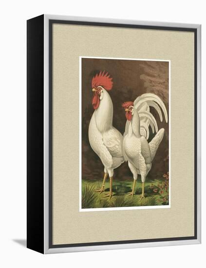 Roosters with Mat VI-Cassel-Framed Stretched Canvas