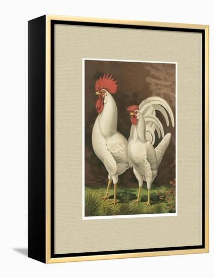 Roosters with Mat VI-Cassel-Framed Stretched Canvas