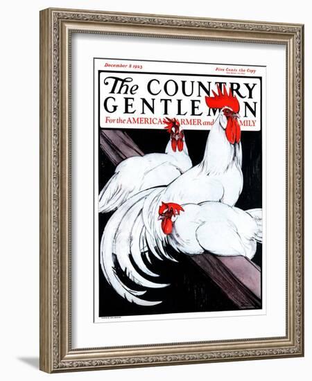 "Roosting Rooster and Hens," Country Gentleman Cover, December 8, 1923-Paul Bransom-Framed Giclee Print