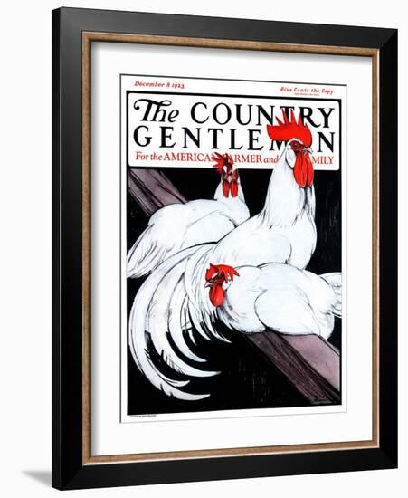 "Roosting Rooster and Hens," Country Gentleman Cover, December 8, 1923-Paul Bransom-Framed Giclee Print