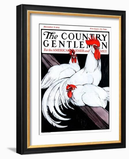 "Roosting Rooster and Hens," Country Gentleman Cover, December 8, 1923-Paul Bransom-Framed Giclee Print