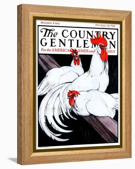 "Roosting Rooster and Hens," Country Gentleman Cover, December 8, 1923-Paul Bransom-Framed Premier Image Canvas