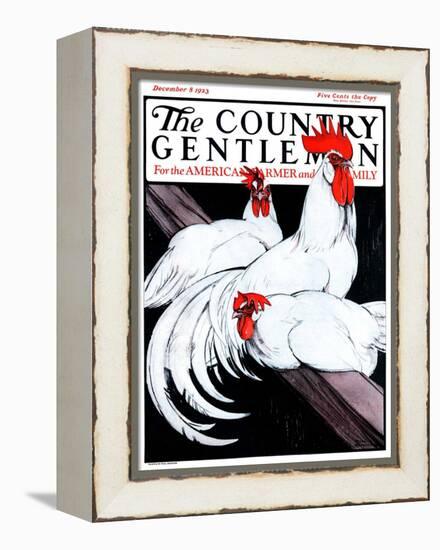 "Roosting Rooster and Hens," Country Gentleman Cover, December 8, 1923-Paul Bransom-Framed Premier Image Canvas