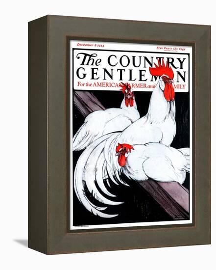 "Roosting Rooster and Hens," Country Gentleman Cover, December 8, 1923-Paul Bransom-Framed Premier Image Canvas