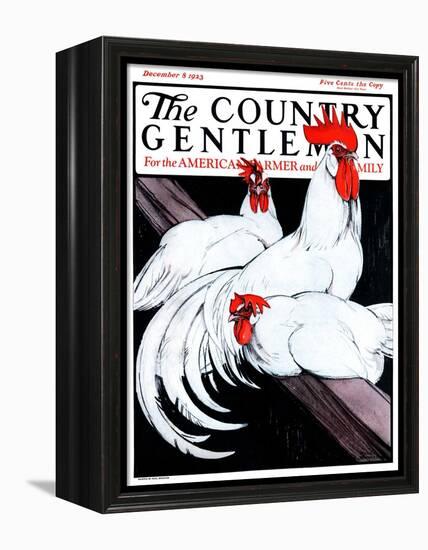 "Roosting Rooster and Hens," Country Gentleman Cover, December 8, 1923-Paul Bransom-Framed Premier Image Canvas