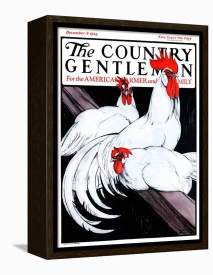 "Roosting Rooster and Hens," Country Gentleman Cover, December 8, 1923-Paul Bransom-Framed Premier Image Canvas