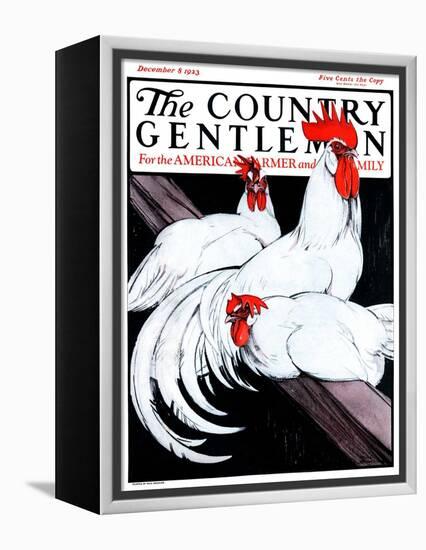 "Roosting Rooster and Hens," Country Gentleman Cover, December 8, 1923-Paul Bransom-Framed Premier Image Canvas