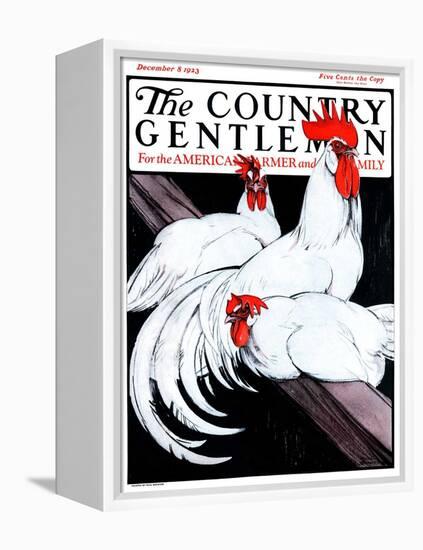 "Roosting Rooster and Hens," Country Gentleman Cover, December 8, 1923-Paul Bransom-Framed Premier Image Canvas