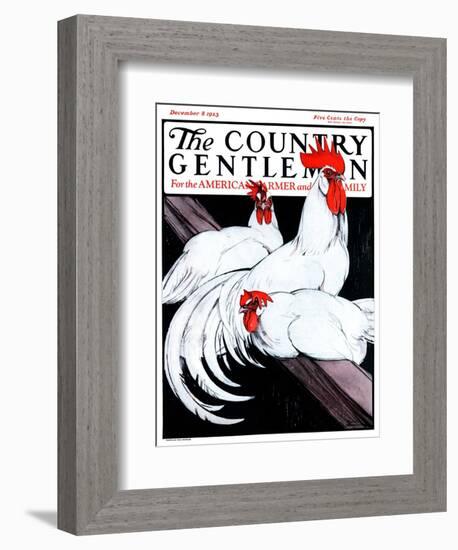 "Roosting Rooster and Hens," Country Gentleman Cover, December 8, 1923-Paul Bransom-Framed Giclee Print