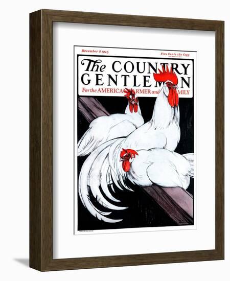 "Roosting Rooster and Hens," Country Gentleman Cover, December 8, 1923-Paul Bransom-Framed Giclee Print