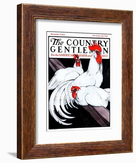 "Roosting Rooster and Hens," Country Gentleman Cover, December 8, 1923-Paul Bransom-Framed Giclee Print