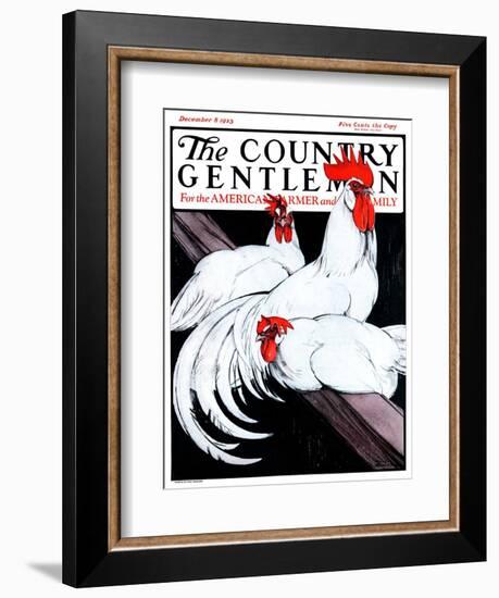 "Roosting Rooster and Hens," Country Gentleman Cover, December 8, 1923-Paul Bransom-Framed Giclee Print