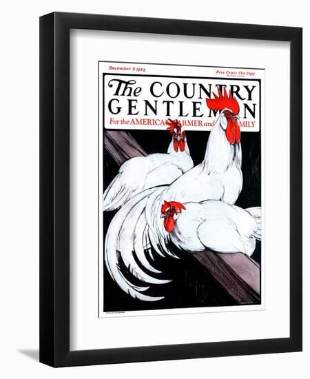 "Roosting Rooster and Hens," Country Gentleman Cover, December 8, 1923-Paul Bransom-Framed Giclee Print