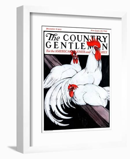 "Roosting Rooster and Hens," Country Gentleman Cover, December 8, 1923-Paul Bransom-Framed Giclee Print