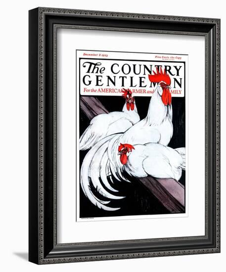 "Roosting Rooster and Hens," Country Gentleman Cover, December 8, 1923-Paul Bransom-Framed Giclee Print