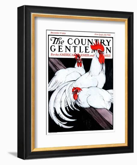 "Roosting Rooster and Hens," Country Gentleman Cover, December 8, 1923-Paul Bransom-Framed Giclee Print