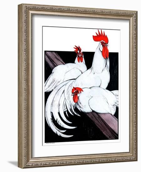 "Roosting Rooster and Hens,"December 8, 1923-Paul Bransom-Framed Giclee Print