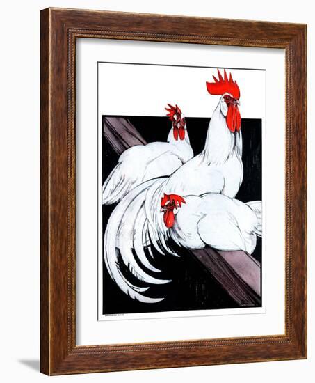 "Roosting Rooster and Hens,"December 8, 1923-Paul Bransom-Framed Giclee Print