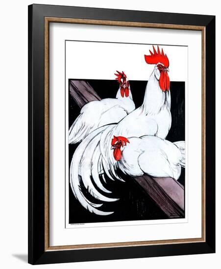"Roosting Rooster and Hens,"December 8, 1923-Paul Bransom-Framed Giclee Print