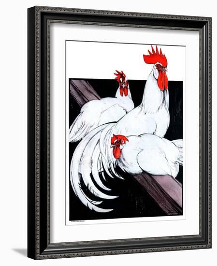 "Roosting Rooster and Hens,"December 8, 1923-Paul Bransom-Framed Giclee Print