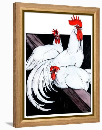 "Roosting Rooster and Hens,"December 8, 1923-Paul Bransom-Framed Premier Image Canvas