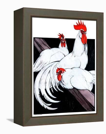 "Roosting Rooster and Hens,"December 8, 1923-Paul Bransom-Framed Premier Image Canvas