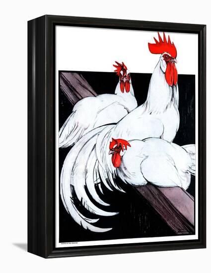 "Roosting Rooster and Hens,"December 8, 1923-Paul Bransom-Framed Premier Image Canvas