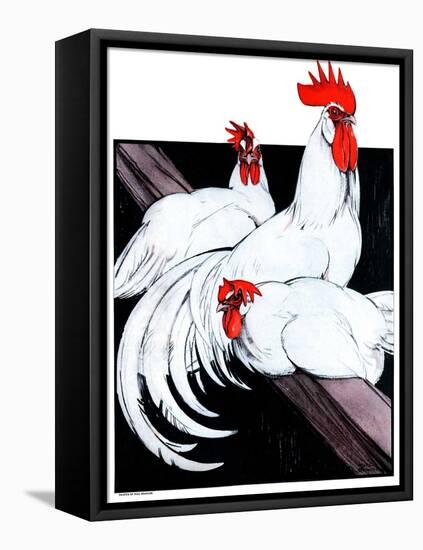 "Roosting Rooster and Hens,"December 8, 1923-Paul Bransom-Framed Premier Image Canvas